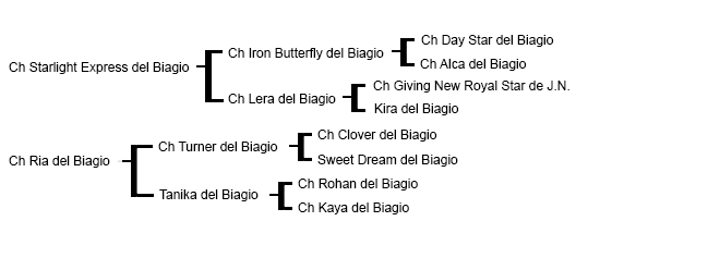 geneaologia-capitan-futuro-del-biagio