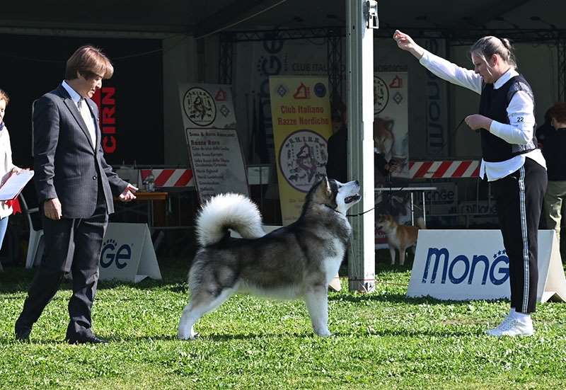 capitan-futuro-del-biagio-10(01)